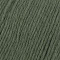 Concept Kashwool 303 Fir Green