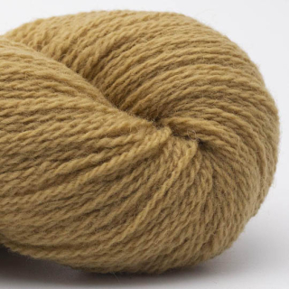 Bio Shetland 047 Curry