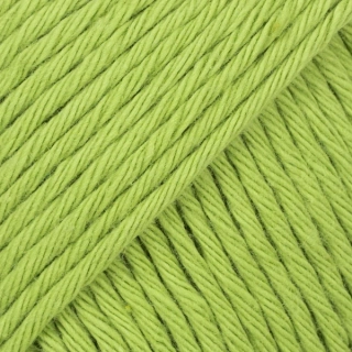 DROPS Paris 39 uni wasabi
